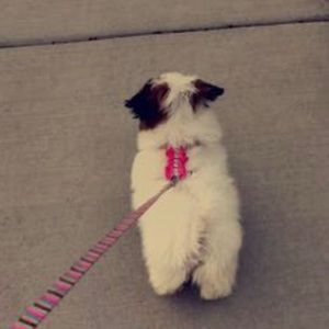 Meet your Posher, Emma